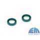 Oil seals for the Diff (set)